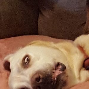 Meet your Posher, Rick